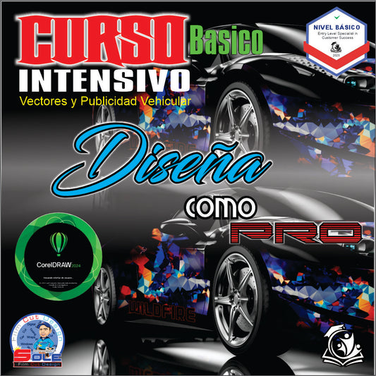 CURSO BASICO DE DISEÑO DE VECTORES ON LINE